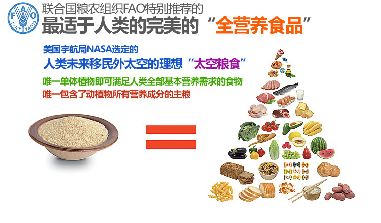 澳门新葡澳京