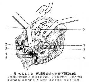 澳门新葡澳京官网：
抖音进军旅游业：关联公司建立旅行社 持股