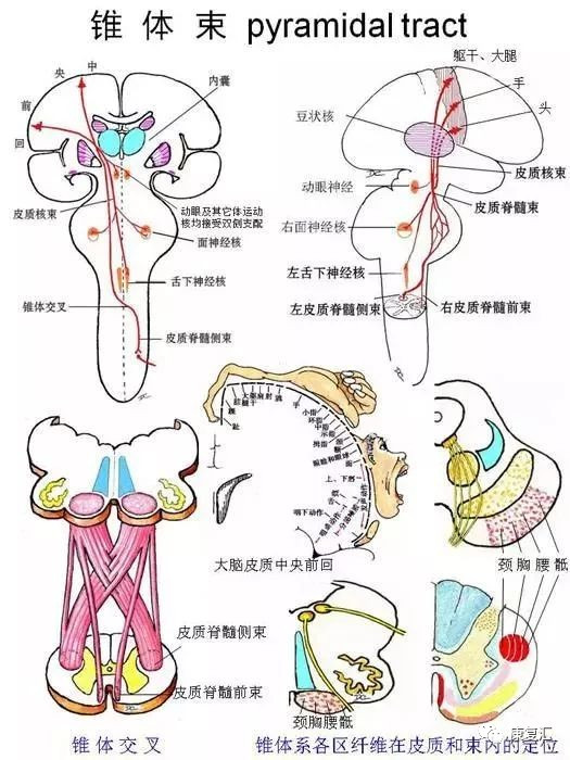 ‘澳门新葡澳京’经典现代室内设计