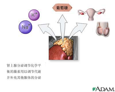 澳门新葡澳京官网