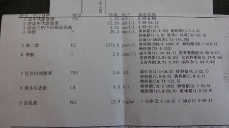 四川：2010年元旦 成都玩法多多多【澳门新葡澳京】