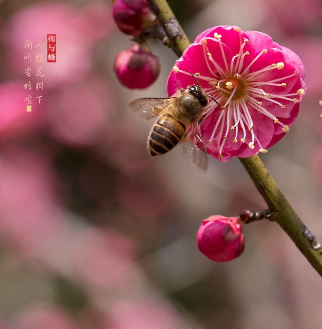 澳门新葡澳京官网